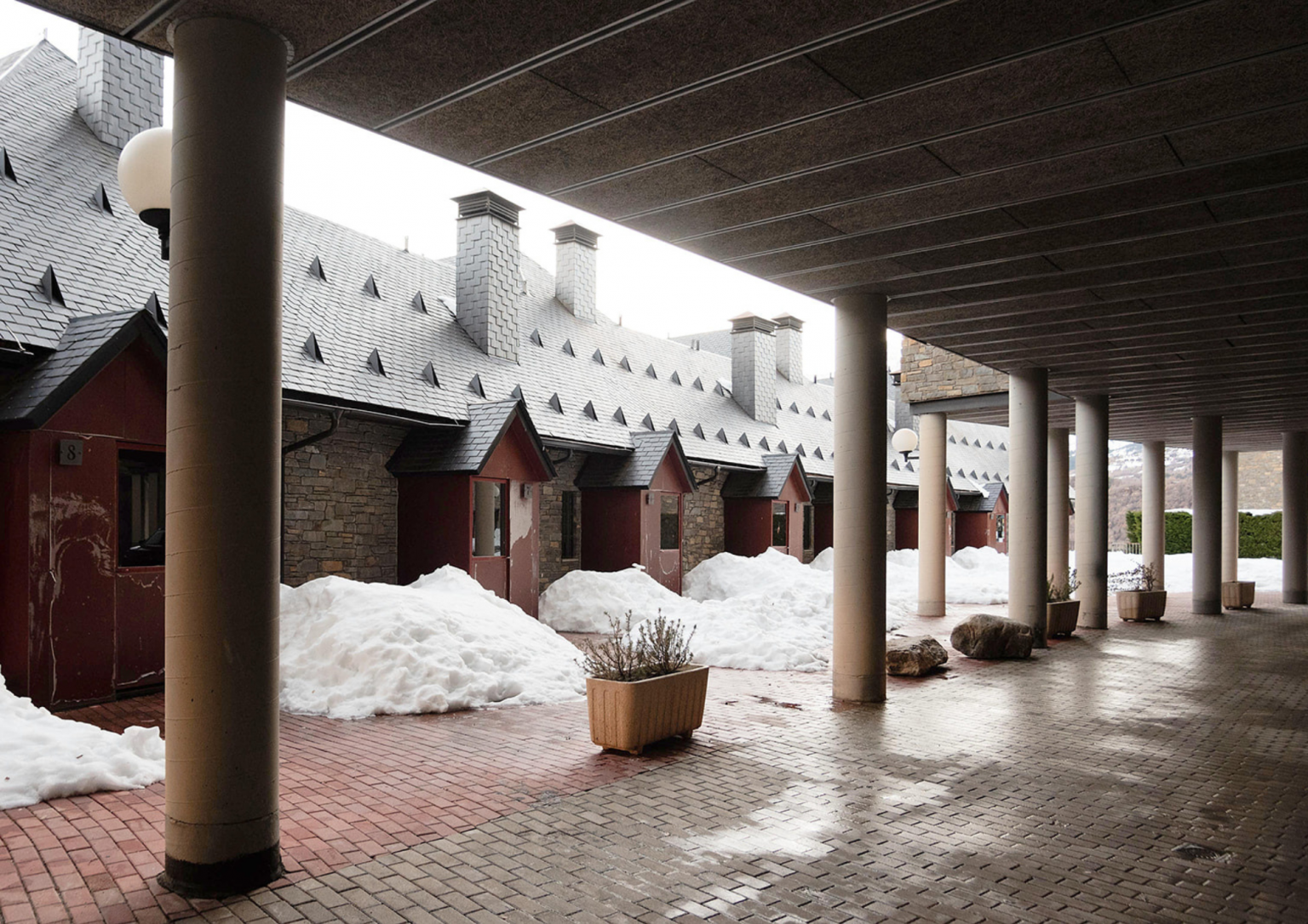 Nieve