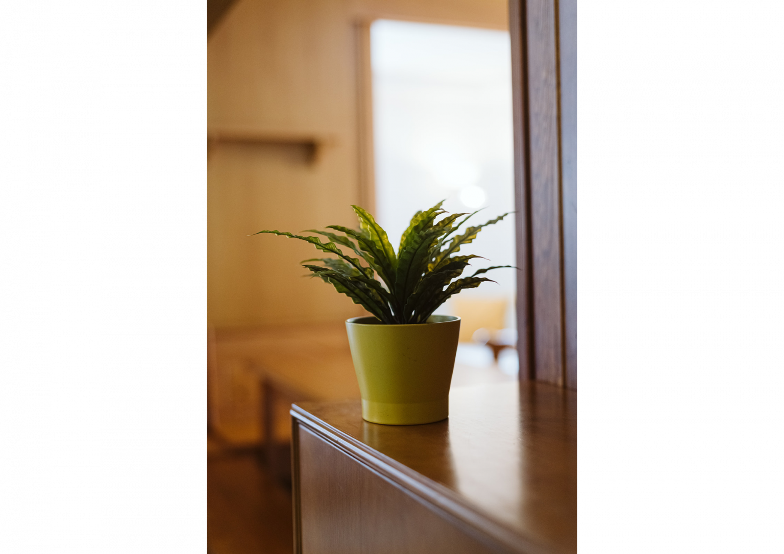 Decoración Casa Cantal
